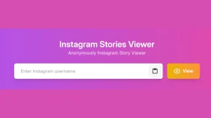 Insta Story Viewer